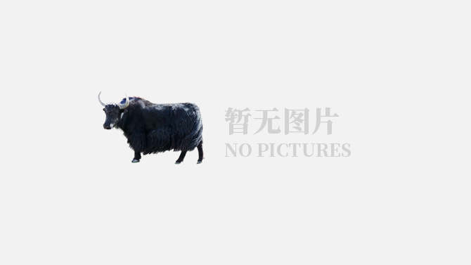 GDT | 第315次招标结果：外盘返场无水奶油暴涨，国内护盘脱脂黄油上行