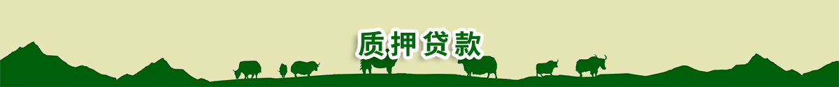 质押贷款