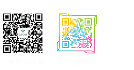 页脚二维码